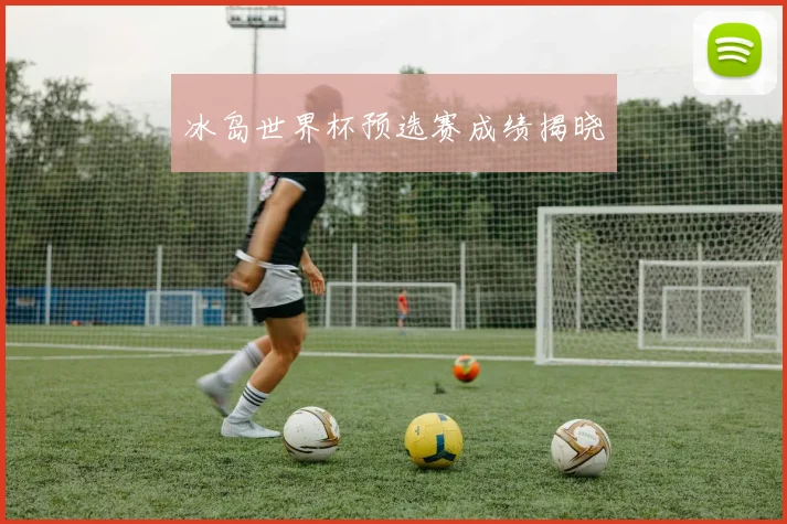 冰岛世界杯预选赛成绩揭晓