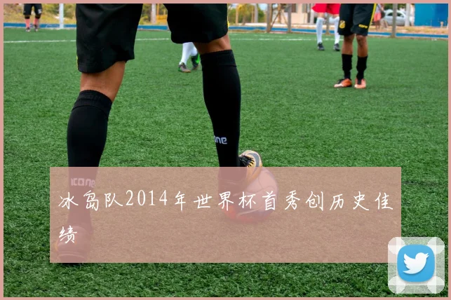 冰岛队2014年世界杯首秀创历史佳绩